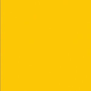 Meet your Posher, Ella